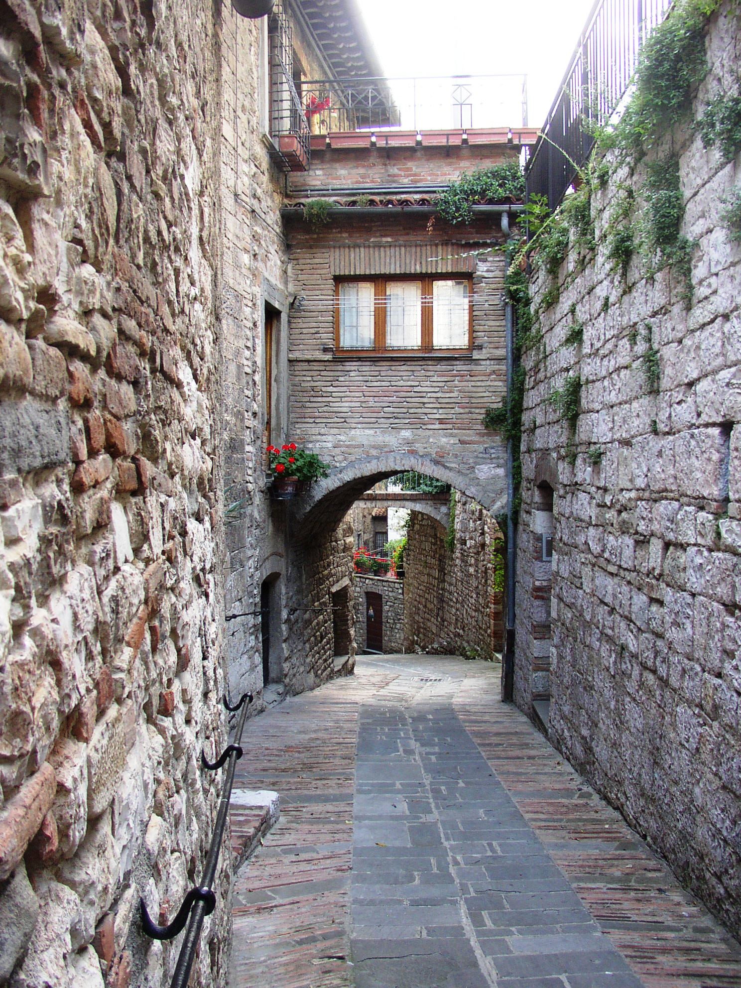 P1010066